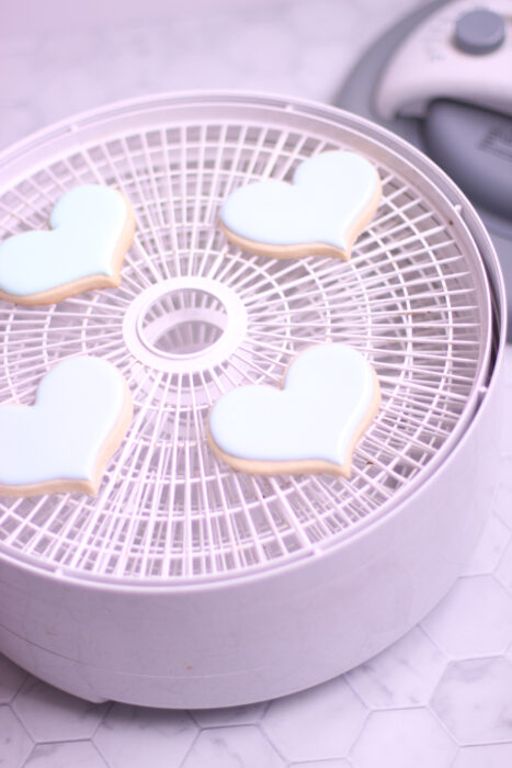 Drying Cookies in a Dehydrator