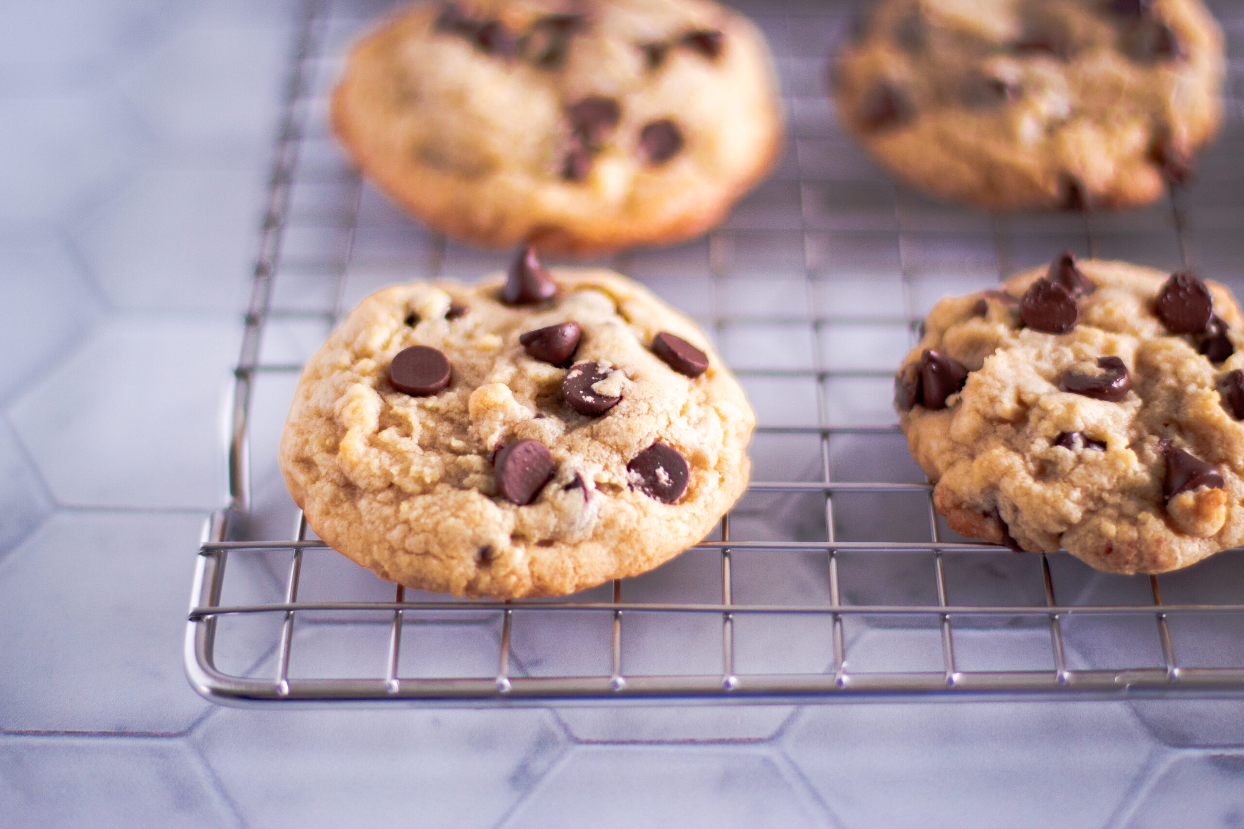 chocolate chip cookies on cooking rack
